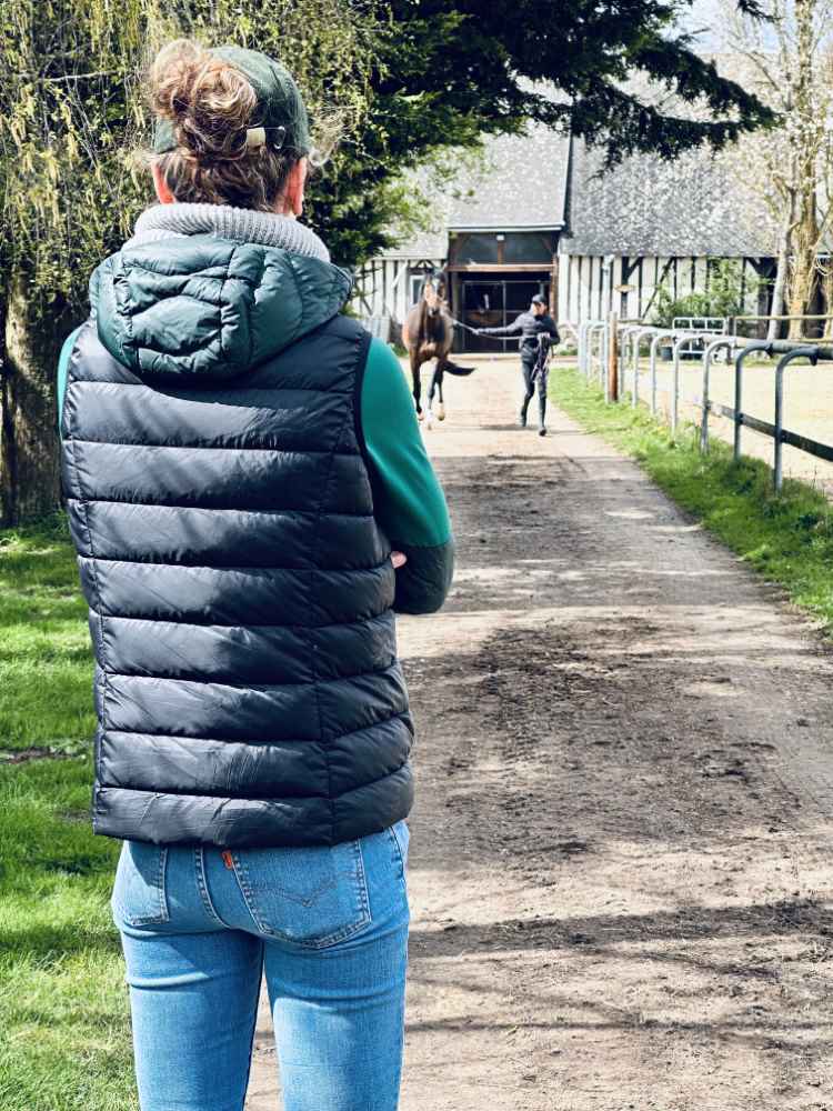 Aankoopkeuring paard