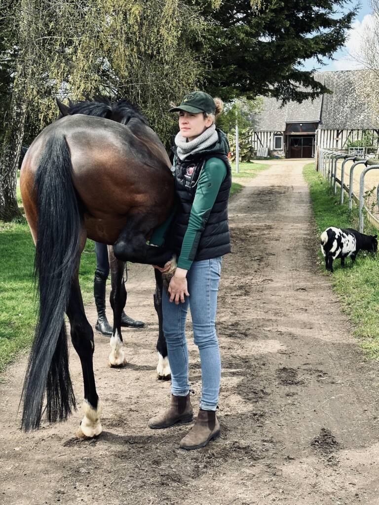 Mankheidsonderzoek bij het paard