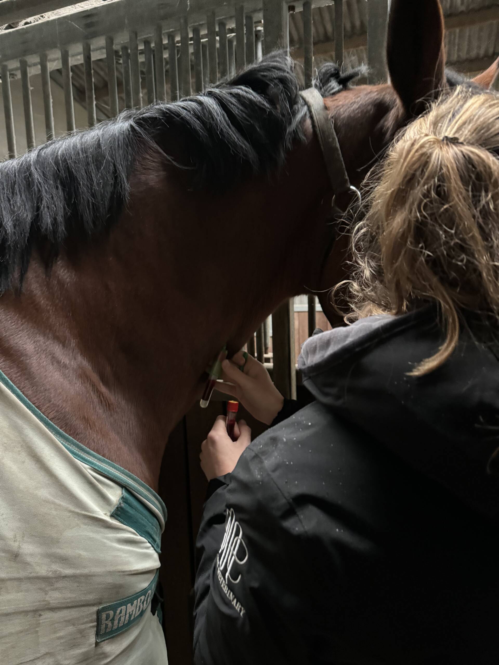 Preventie en Algemene geneeskunde