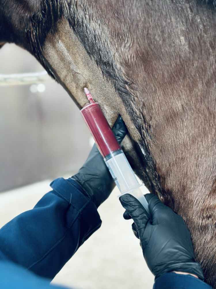 regeneratieve therapieën