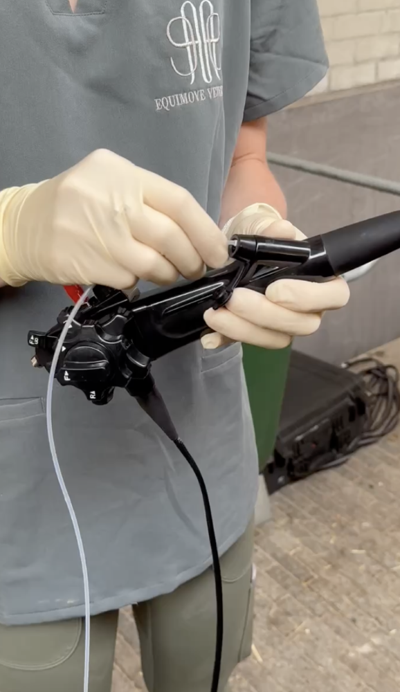 Endoscopisch onderzoek