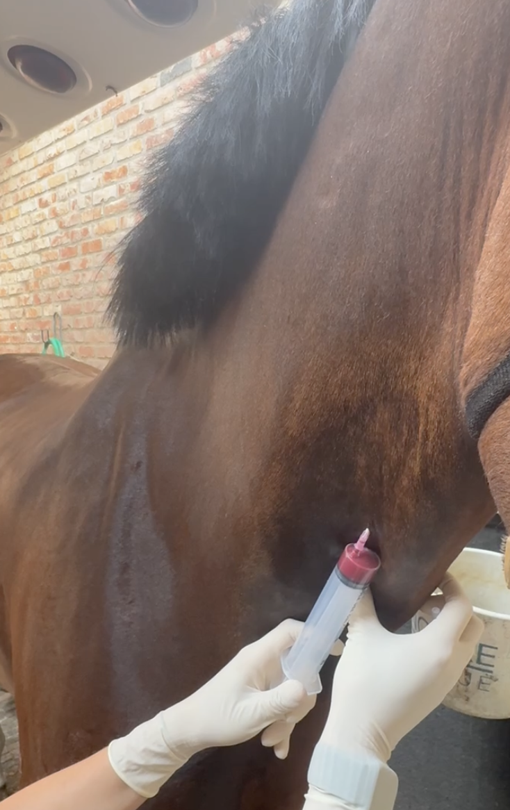 Vaccinaties