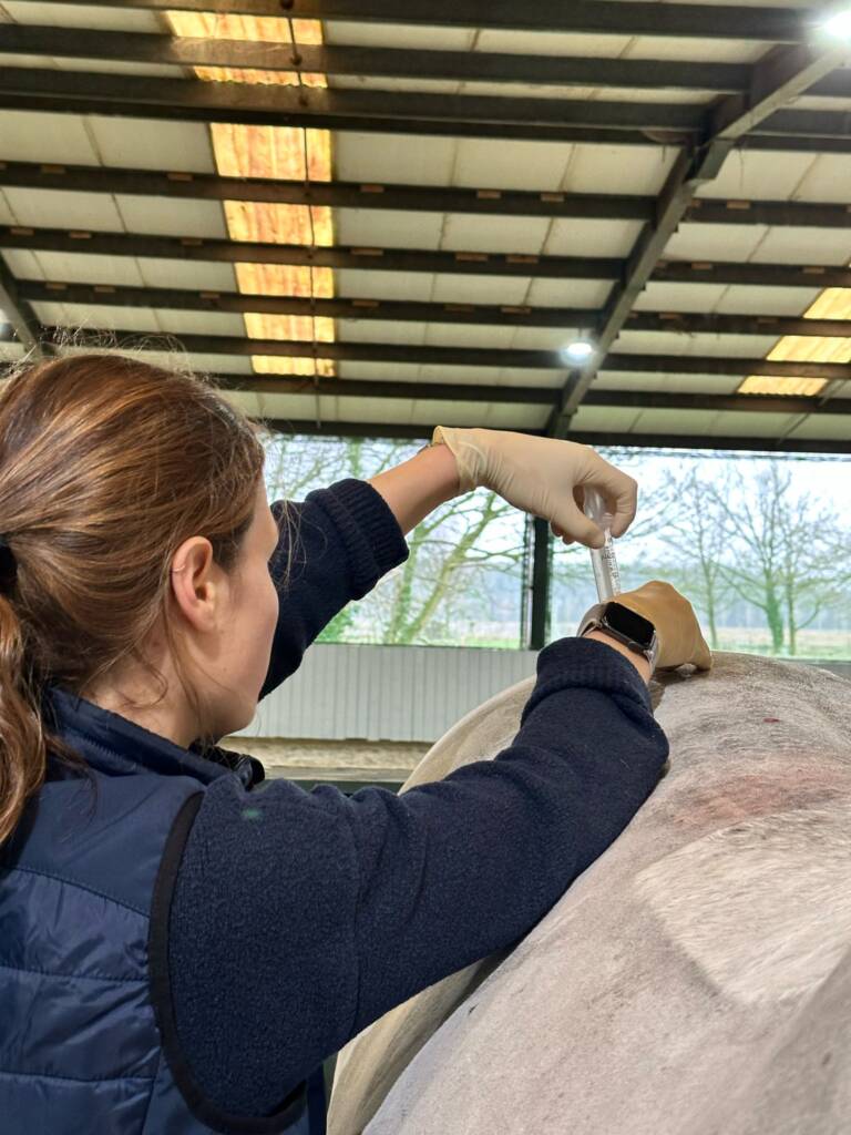 mankheidsonderzoek