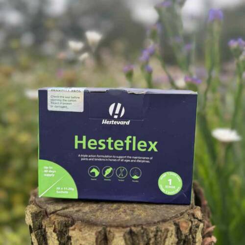 Hesteflex