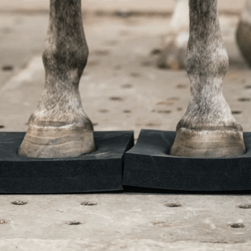 Equimove Balance Pads - Set van 2
